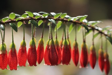 中山黄圃6私人快速借钱网，轻松解决资金难题