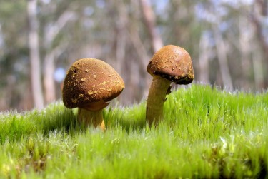 中山黄圃6私人老板放款：轻松融资的秘密通道